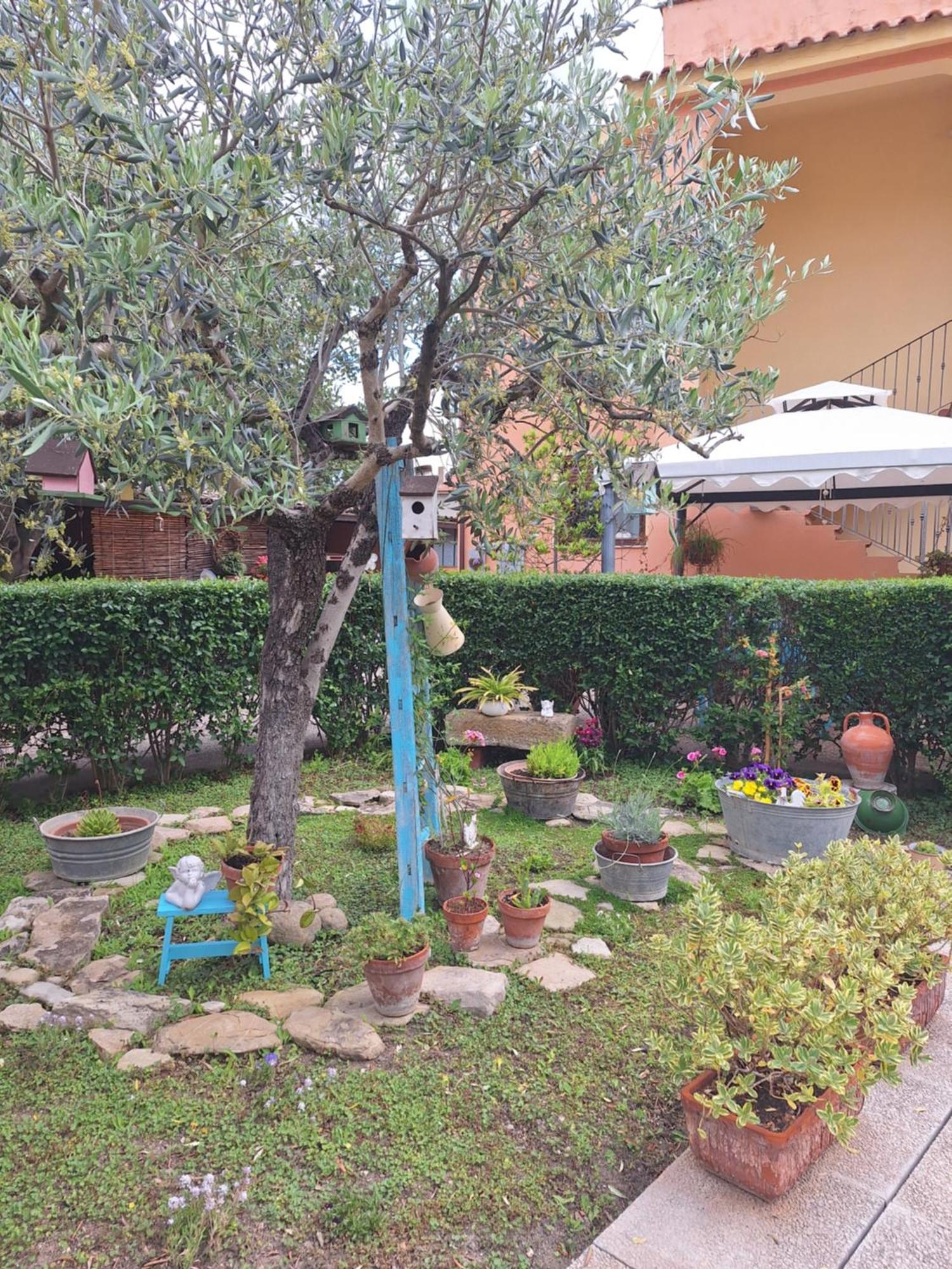B&B Casa Piras Iun3880 バルーミニ エクステリア 写真